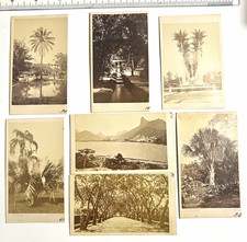 Lot 7 Leuzinger CDV Rio de Janeiro Brazil 1870s Jardim Botanico Botafogo Albumen picture