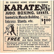 Karate Home Study Program Lynbrook NY 1974 Ad AG1-M8 picture
