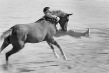 Horse wrangler set of John Huston?s The Misfits location filming N- Old Photo picture