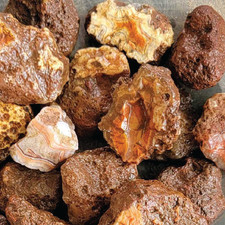 (Baby Malawi) Alimajo Agate Rough (Price per pound) picture