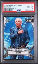2023 UD AEW NEW ARRIVALS #11 RIC FLAIR PSA 10 picture