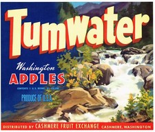 ORIGINAL C1950S APPLE CRATE LABEL CASHMERE VINTAGE TUMWATER STREAM WASHINGTON picture