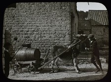 ANTIQUE Magic Lantern Slide BOY WITH DONKEY PULLING BARREL C1890 VICTORIAN PHOTO picture