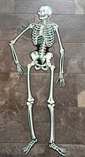 Vintage Jointed Skeleton Halloween Die Cut Beistle Co. U.S.A. 57”  picture