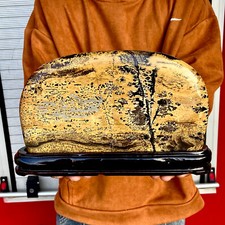4.3LB Beautiful Natural Chinese Dendritic Limestone Picture Stone Guohua - Rare picture