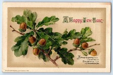 c1910's New Year Greetings Acorn John Winsch Embossed Antique Postcard picture