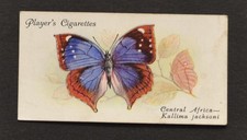 1932 Player's Butterflies Cigarette Card No. 21 Central Africa Kallima jacksoni picture