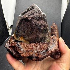 1.08LB Natural Red Phantom Quartz Obelisk Crystal Point Wand Reiki Decor+Stand picture