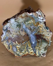 RARE High Grade Hampton Butte Petrified Wood Rough 9.07LBS picture