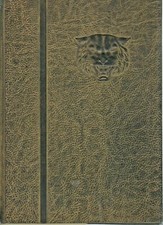 Original 1939 Colorado College Yearbook-CO Springs-Pikes Peak Nugget  picture