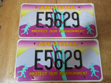 1990s Arizona License Plate Protect the Environment picture