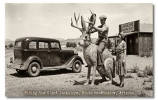 Vintage‑STYLE NEW ART 1930's RPPC-RIDING THE JACKALOPE-ROUTE 66-WINSLOW--FAUX picture