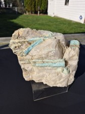10.6 lb Natural Aquamarine in Matrix Large Blue Crystals - Statement Piece 🔥 picture