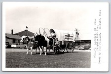 Worlds Largest Ox Team Covered Wagon Degraff De Graff Ohio As-Is Real Photo RPPC picture
