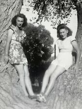 AxH) Found Photograph Artistic 2 Beautiful Twin Beautiful Women In Tree picture