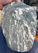 30lb Granodiorite Display Rock Black White Natural Metamorphic Stone Joshua Tree picture