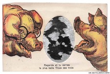 CAR-ADXP12-0648-A SYSTEM - PIG - LOOK AND YOU WILL SEE THE MOST BEAUTIFUL SOW picture