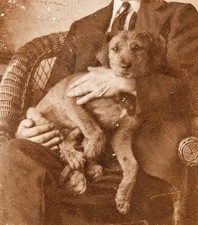 Antique c.1900 Cabinet Card Photo Man Nuzzling His Little Dog – Ornate Black... picture