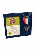  Eagle Scout Medal Display Plaque picture