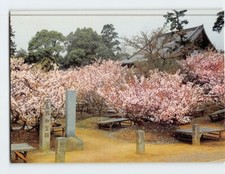 Postcard Kannon-do Hall Ninnaji Temple Kyoto Japan picture