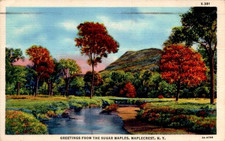 Greetings FRom The Sugar Maples Maplecrest NY Postcard 91 picture