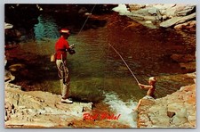 Reel Pals Man & Little Boy Fishing Same Trout Stream IN C1950's Postcard U6 picture