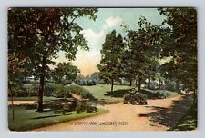Jackson MI-Michigan, Loomis Park, Scenic Park View, Antique Vintage Postcard picture