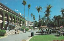 Miami Florida, Majestic Palms & Grandstand, Hialeah Race Track, Vintage Postcard picture