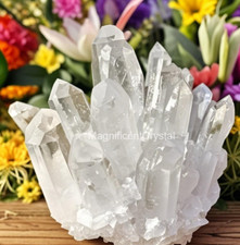 2025Rare 300G+Clear Quartz Crystal Geode Cluster Reiki Decor Art Manifestation picture