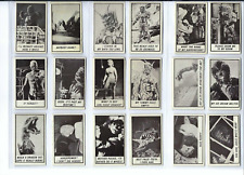 Vintage 1963 Topps Monster Midgee's lot 79 Cards no dupes Mostly excellent + UNI picture