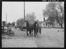 Photo:1934 Rural Farm House Horses Wagon Mule Team Dirt Road picture