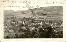 Belmont NY Birdseye View c1906 Vintage Private Mailing Postcard picture