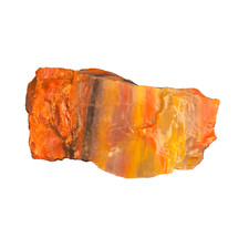Arizona Petrified Wood Rough 1 lb | 1–3” Pieces | Great for Tumbling, Display picture