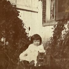 Antique Cabinet Card Photograph Adorable Little Girl ID Martha Beall & Cat “Tom” picture