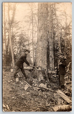 RPPC c1910s Loggers Lumberjacks Cutting Down Trees With Hand Axes Postcard picture