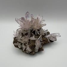 Vera Cruz Amethyst (Las Vigas Mine) Cluster on Matrix Mineral Specimen picture