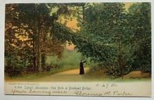 NY Postcard Catskill Mountains Vine Arch at Brodhead Bridge woman path Rotograph picture