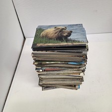 Vintage Souvenir Postcard U.S. States & Travel Lot of 500+, Most No Writing picture