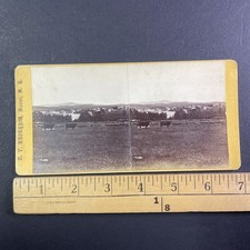 Dover New Hampshire Stereoview E. T. Brigham Landscape Cows Late 1800s picture