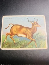 1910 - Hassan tobacco Cards -impala  - Vintage Collectible picture