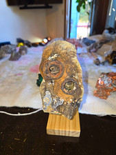 Rare Colorado Iron Concretion- Fossil Specimen in Matrix Rock Display Specimen picture