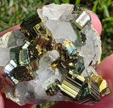 Highly Iridescent Pyrite with Quartz — Indonesia picture