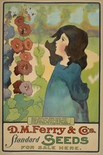 🌸 D.M. Ferry & Co.'s Standard Seeds Poster - Early 20th Century Elegance 🌼 picture