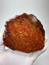 Large RARE ( 199 Grams) Morgan Hill Poppy Jasper Slab, Morgan Hill, California picture