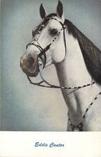 Eddie Cantor White Horse Portrait Bridle Standard Arts Postcard picture