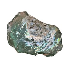 Authentic Ancient Roman Glass Shard Iridescent Green Artifact Shimmering Patina picture