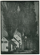 T & O HOFMEISTER Houses and Poplars, Tipped-in Halftone Vintage 1908 picture