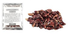 Rudraksha Seeds 50 Seeds Protection, Energy & Spiritual Growth picture