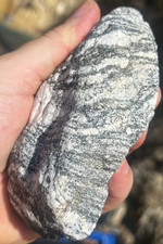 Granodiorite black and white mineral zebra specimen 1.4lbs picture