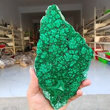 795g Natural malachite Flower slices quartz crystal mineral specimens healing picture